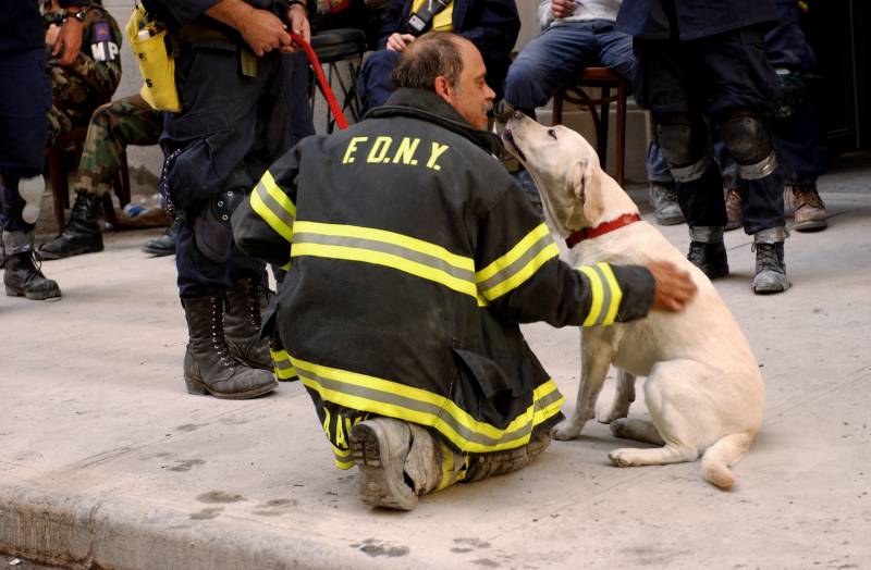 Within hours of the Sept. 11 attacks, thousands of rescue workers from across America deployed to ground zero to help in the search and rescue efforts.