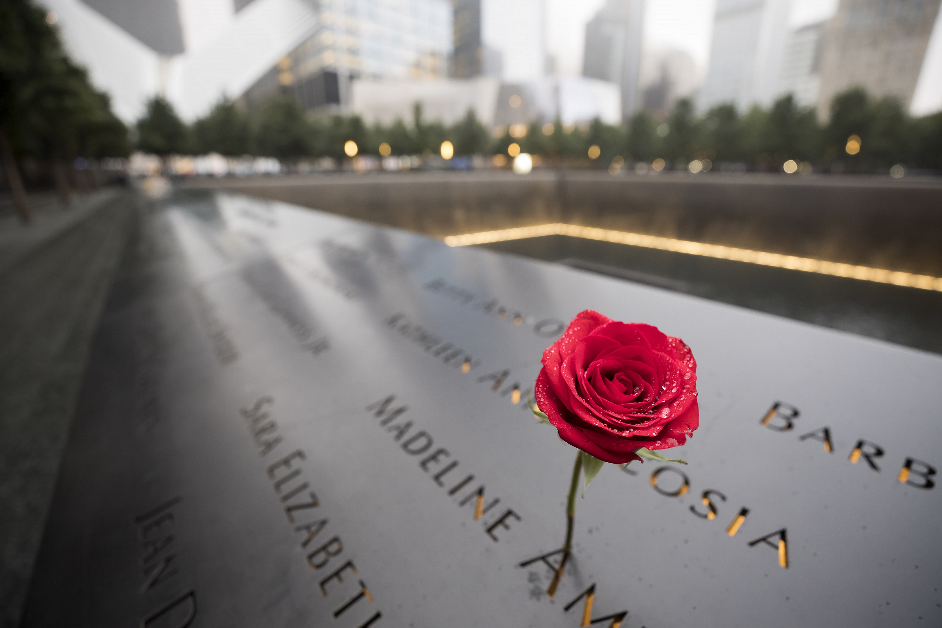 A single red rose stands at a name on a bronze parapet surrounding the lit-up reflecting pool in the footprint of the North Tower. The names of victims blur out of focus in the background.