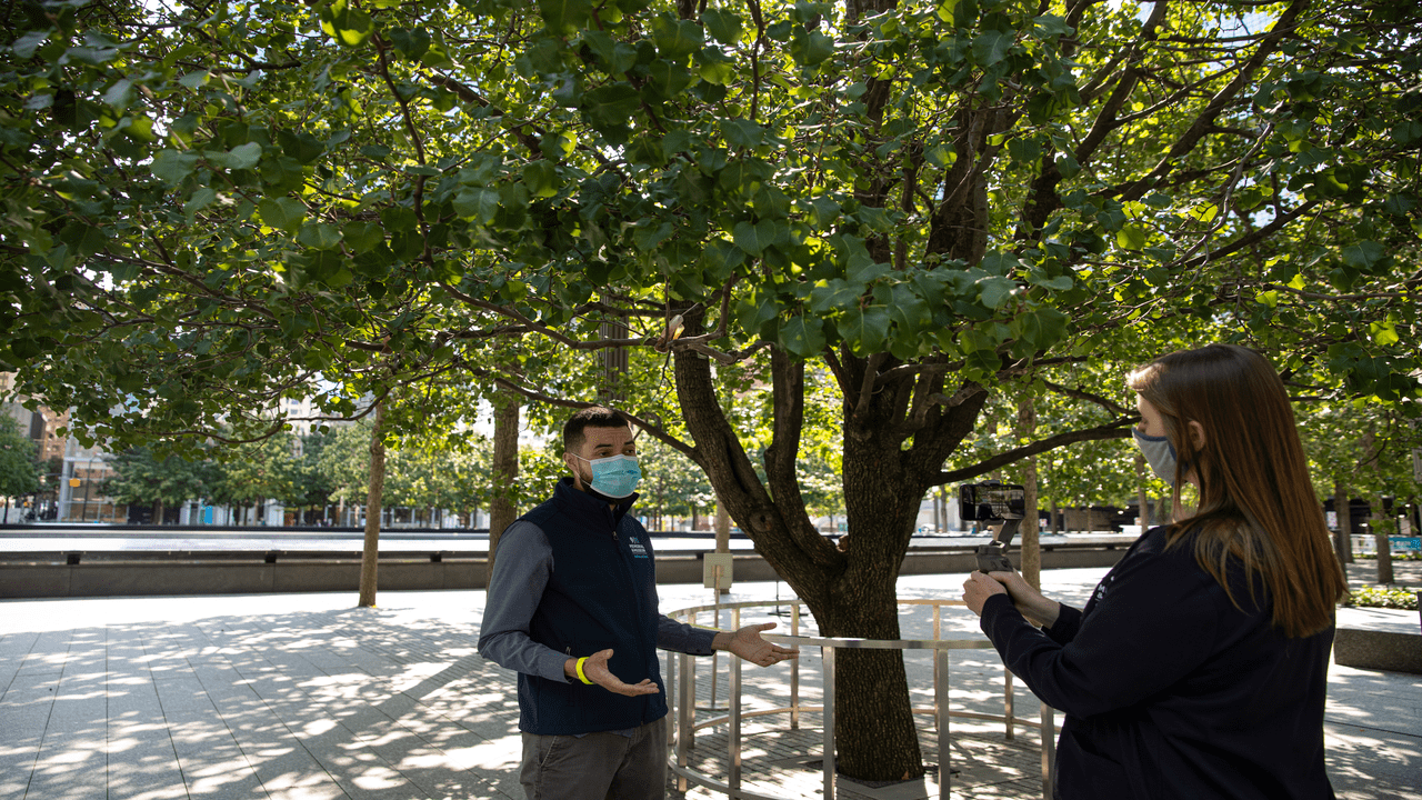 A Museum staffer gestures as he talks beneath the green leaves of the Survivor Tree on the 9/11 Memorial as another Museum staff members holds up a phone to record a tour. 
