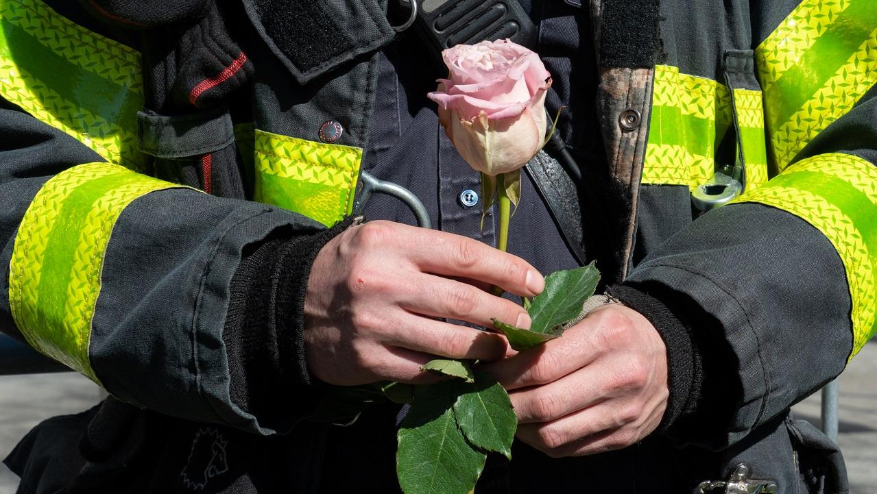 Torso of a man in a firefighter's uniform holding a pink rose