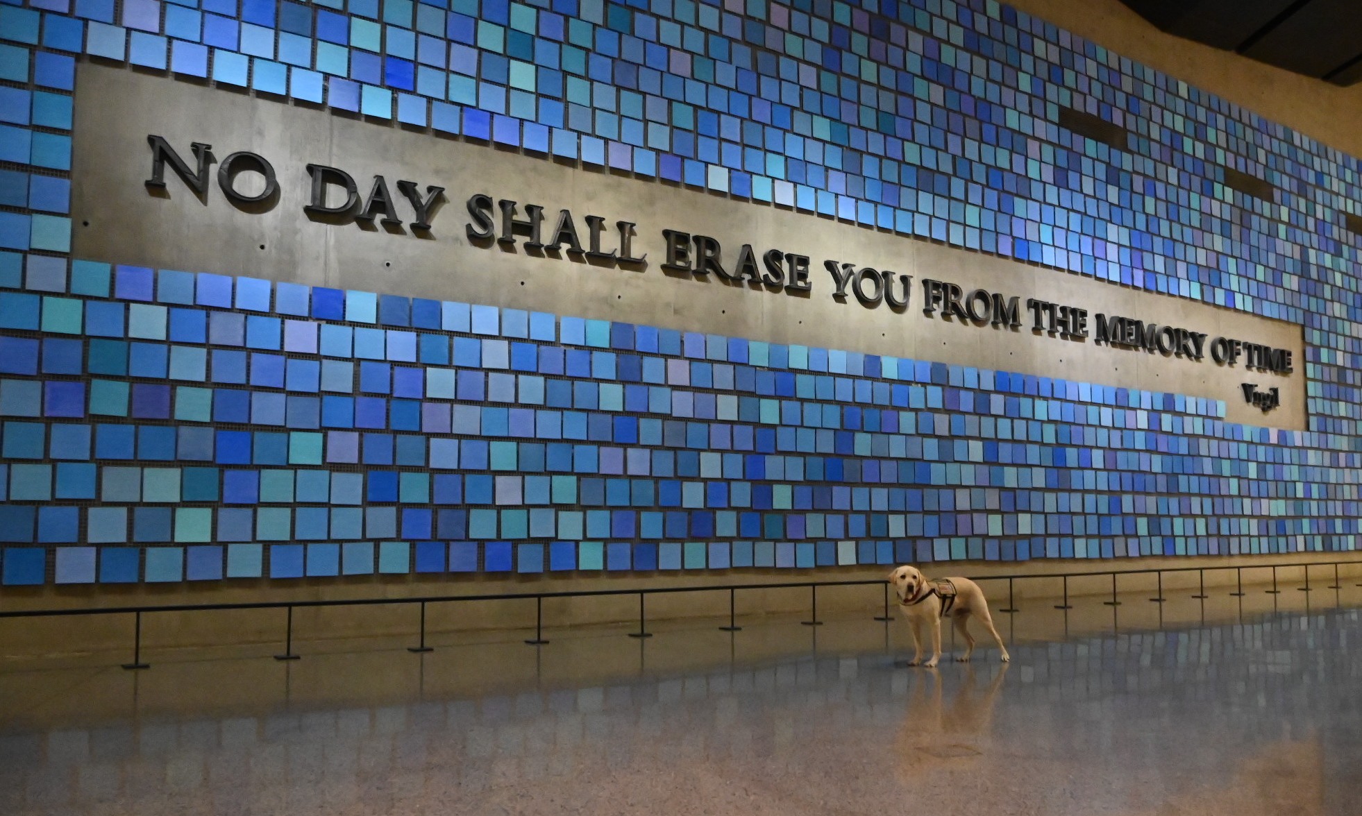 A yellow Labrador retriever stands in front of a large work of art consisting of many squares in varying shades of blue, with "No day shall erase you from the memory of time" emerging from the squares as iron lettering. 