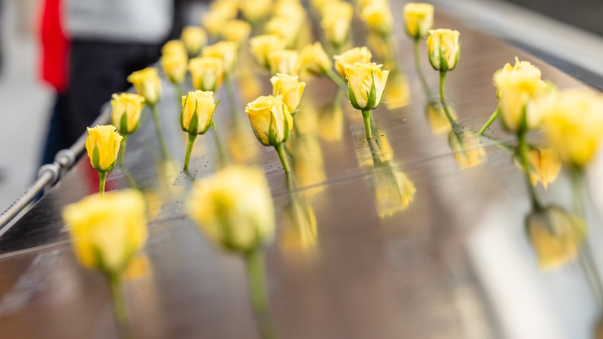 Yellow roses are on the Memorial. 