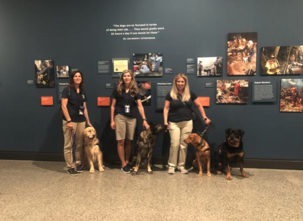 Crisis Response canines at the Museum for Community Day
