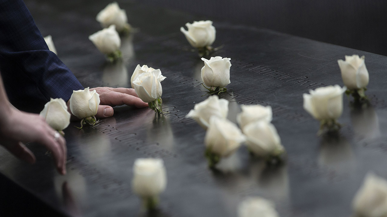 Close up of white roses on the Memorial parapet