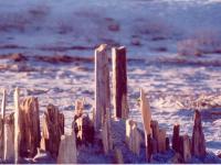 A Child's Creation of a Memorial to 9-11 NYC Closeup.jpg