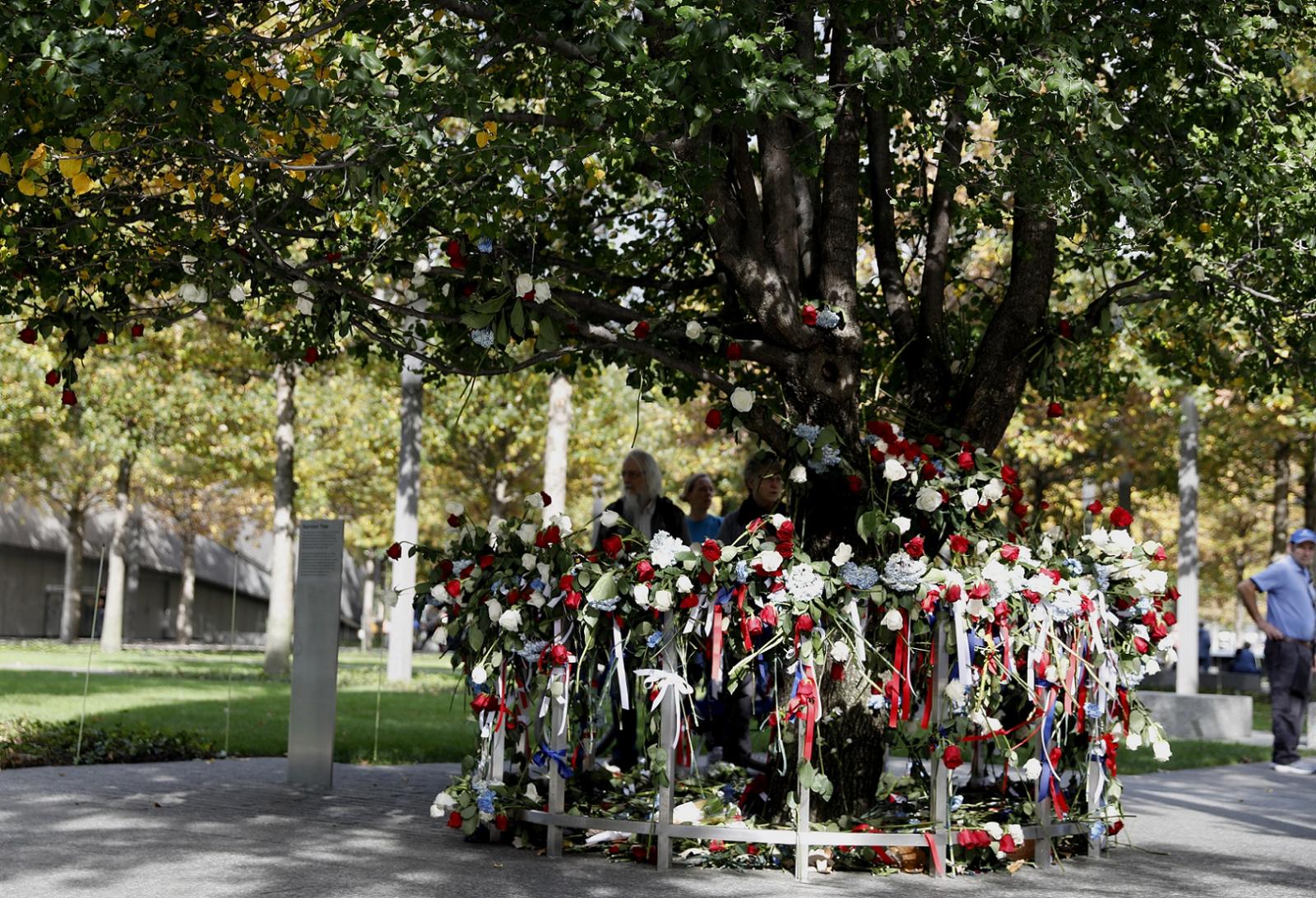 A Callery pear tree known as the Survivor Tree is adorned with red, white, and blue ribbons and flowers on a fall day.
