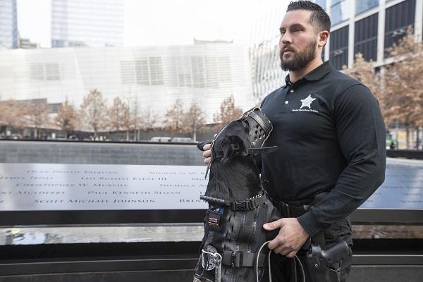 U.S. Secret Service K-9 Hurricane and his handler stand beside reflecting pool at the 9/11 Memorial. Hurricane has jumped up and is leaning against his handler, who is in a black Secret Service shirt. Hurricane is wearing a muzzle and some sort of harness.